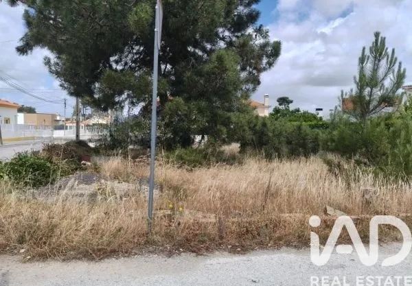 Jardin - Land with Potential in São Simão