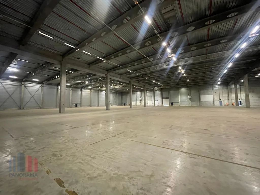 Toad - Logistic Warehouse with 10,000 m² in Ostend