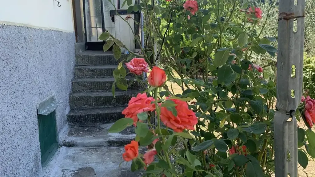 Toad - Terrace Flat in Medieval Village, Rufina