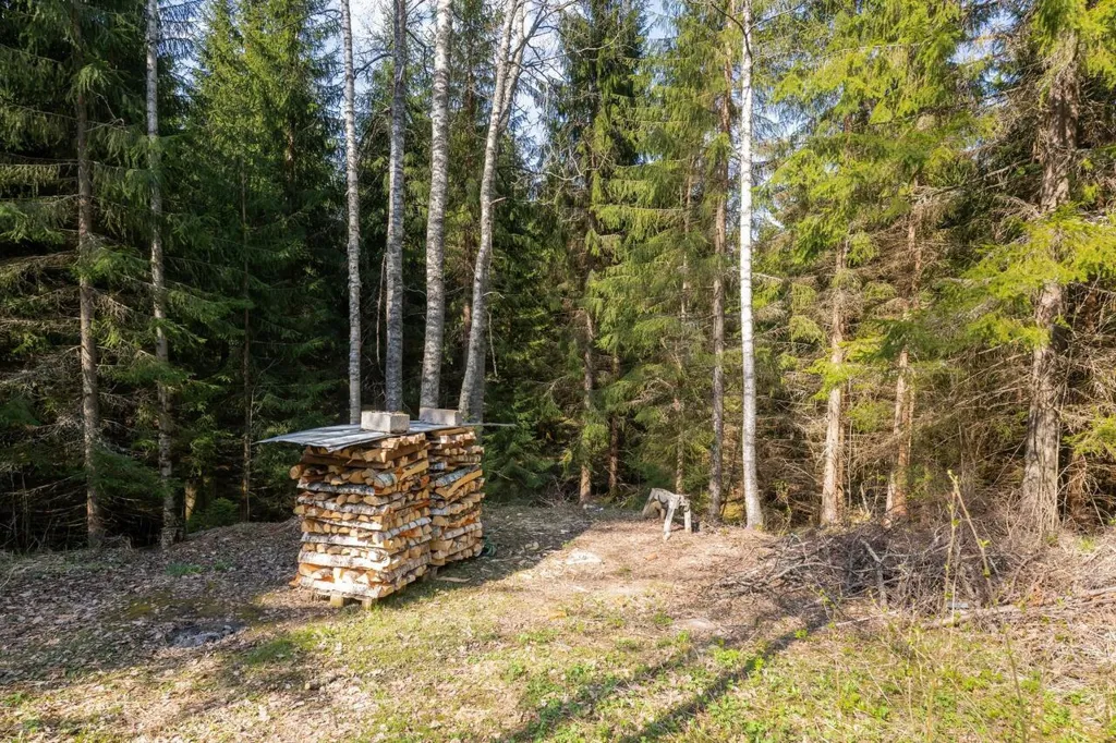 Aed - Cottage with Sauna in Forest Setting