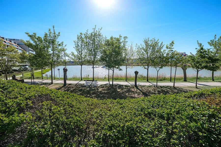 Villa with Water View at Zegemeer