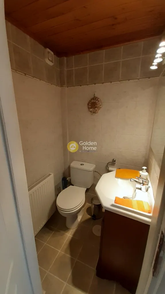 Vannitoad - Maisonette with Garden in Arachova Livadi