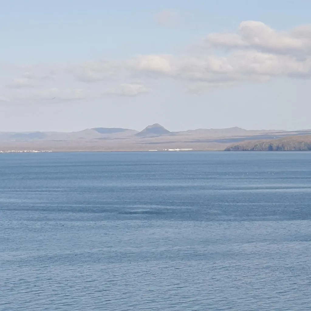Apartment with Private Parking in Reykjavik