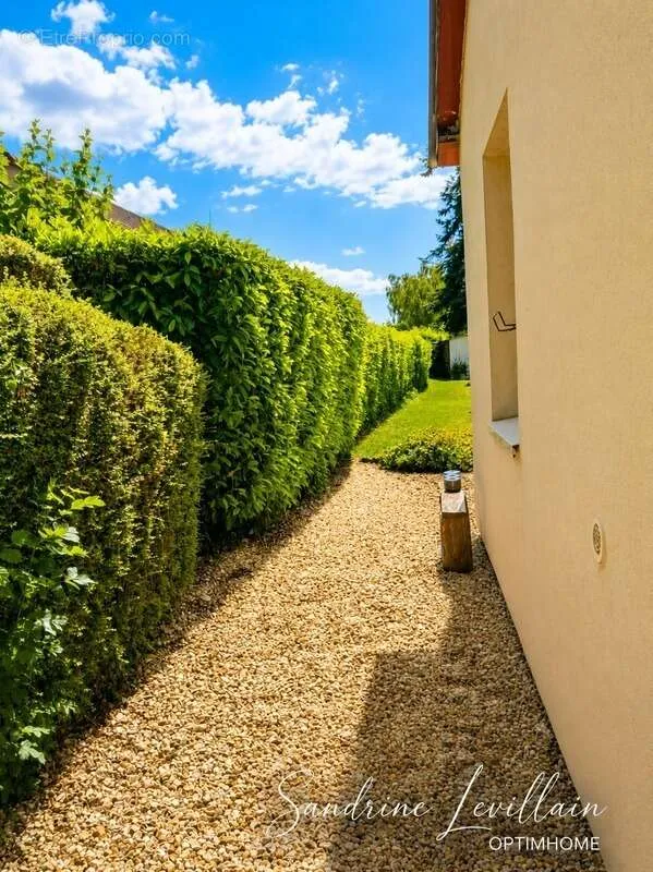 Aed - Spacious Detached House with Garden in Beaumont-le-Roger