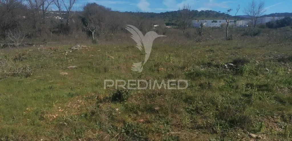 Garden - Industrial Land with Direct Access in Portalegre