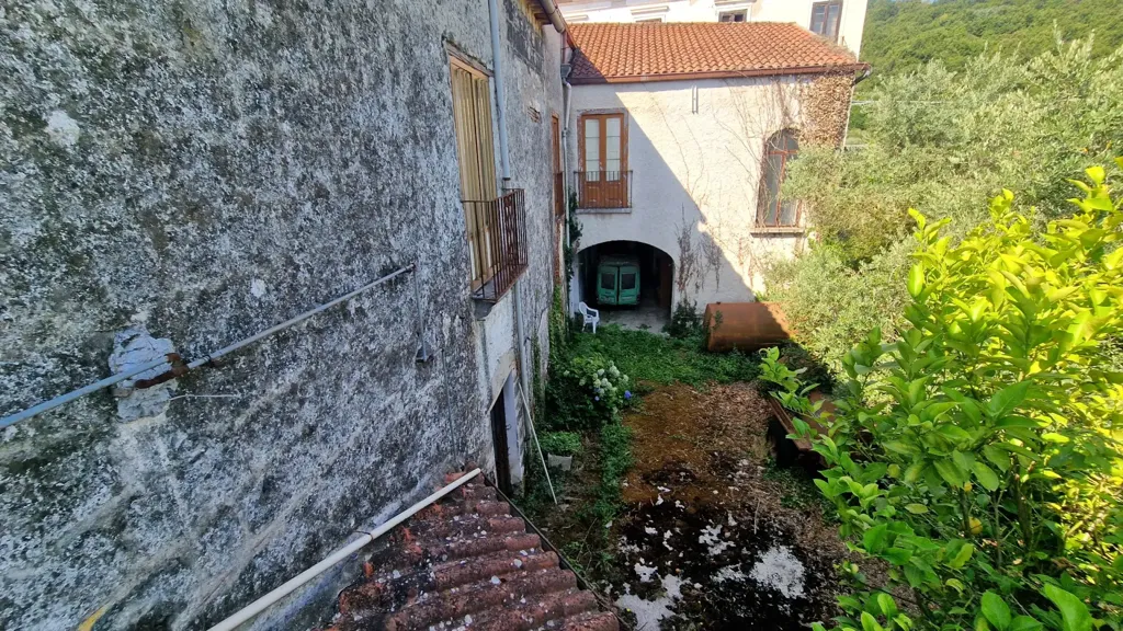 Jardin - Historic Home with Terraces in Alvignano
