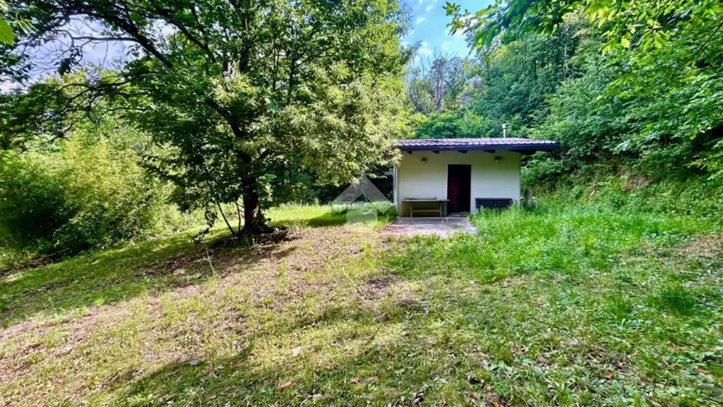 Garden - Signorile Villa with Garden in Caprie