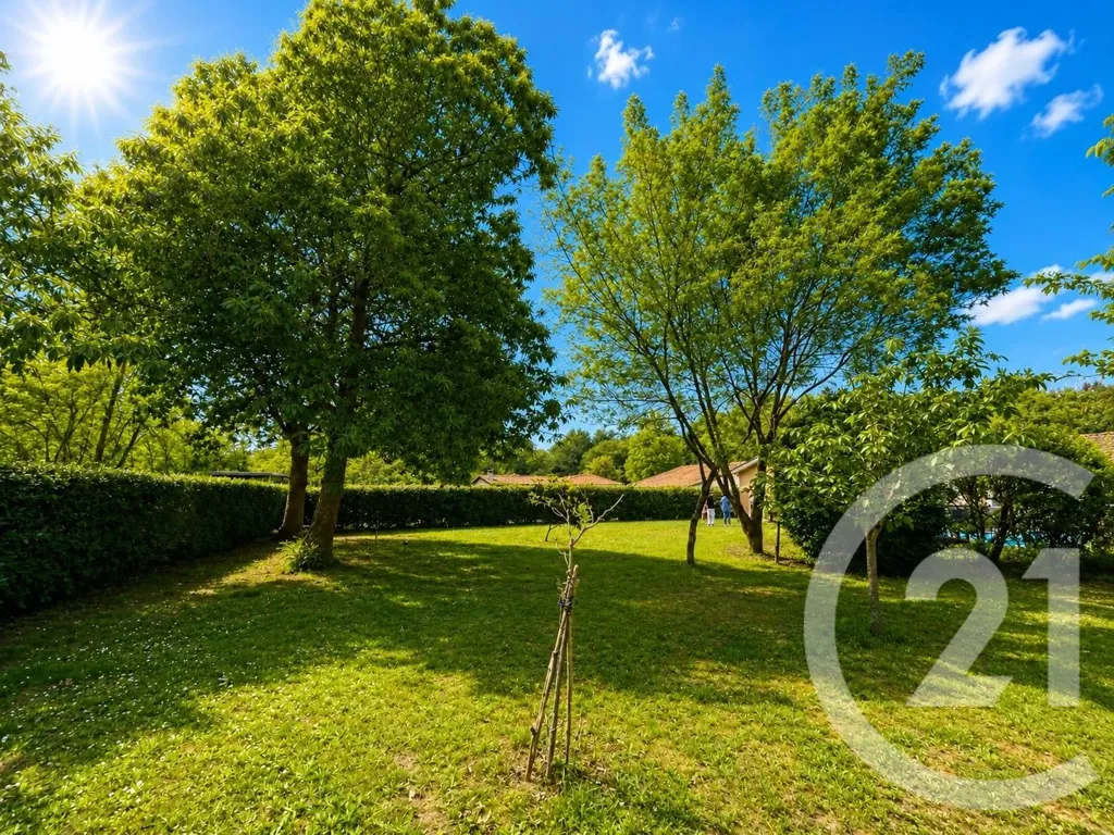 Garden - Contemporary Villa with Pool near Langon