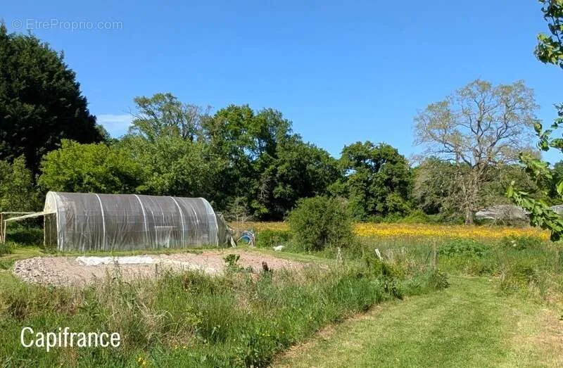 Aed - Stone House with Garden in Plessé
