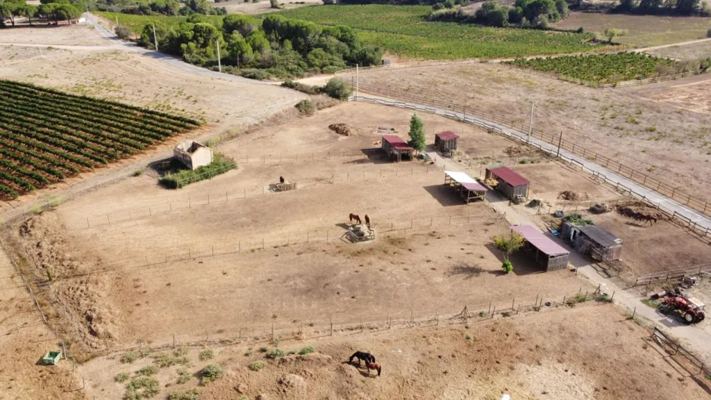 Aerial - Equestrian Estate with Gites in Servian