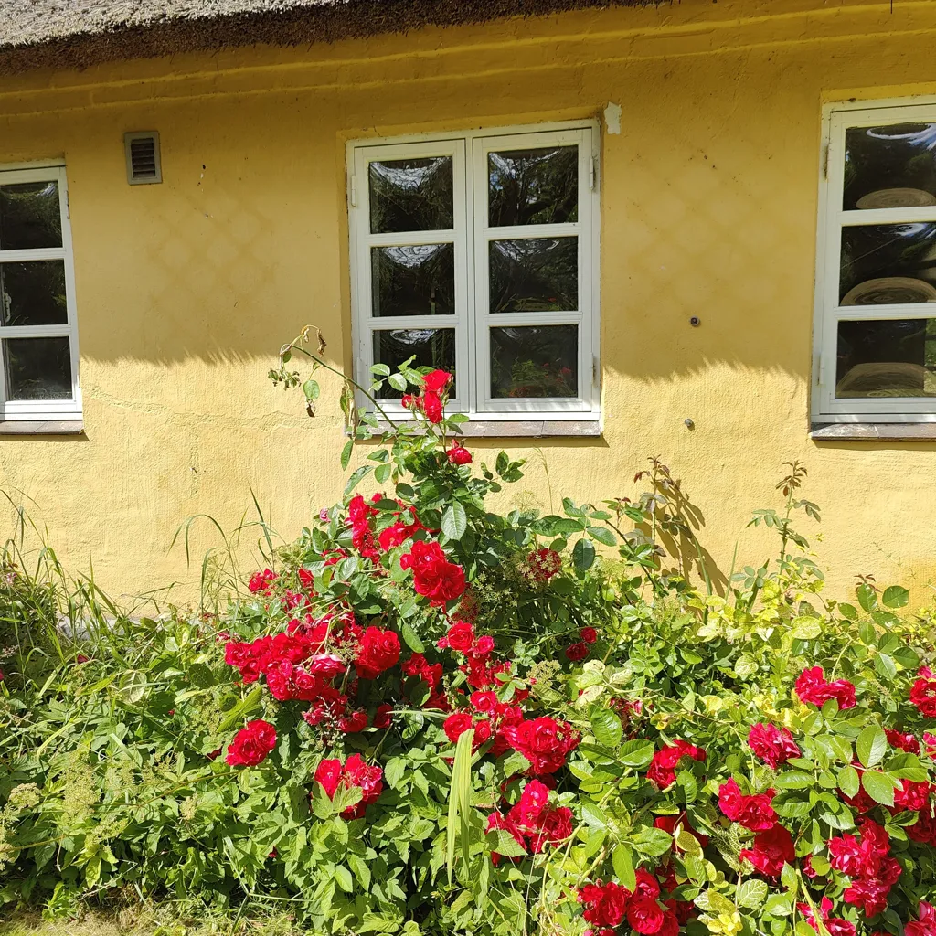 Extérieur - Handcrafted Cottage with Unique Garden in Kielstrup