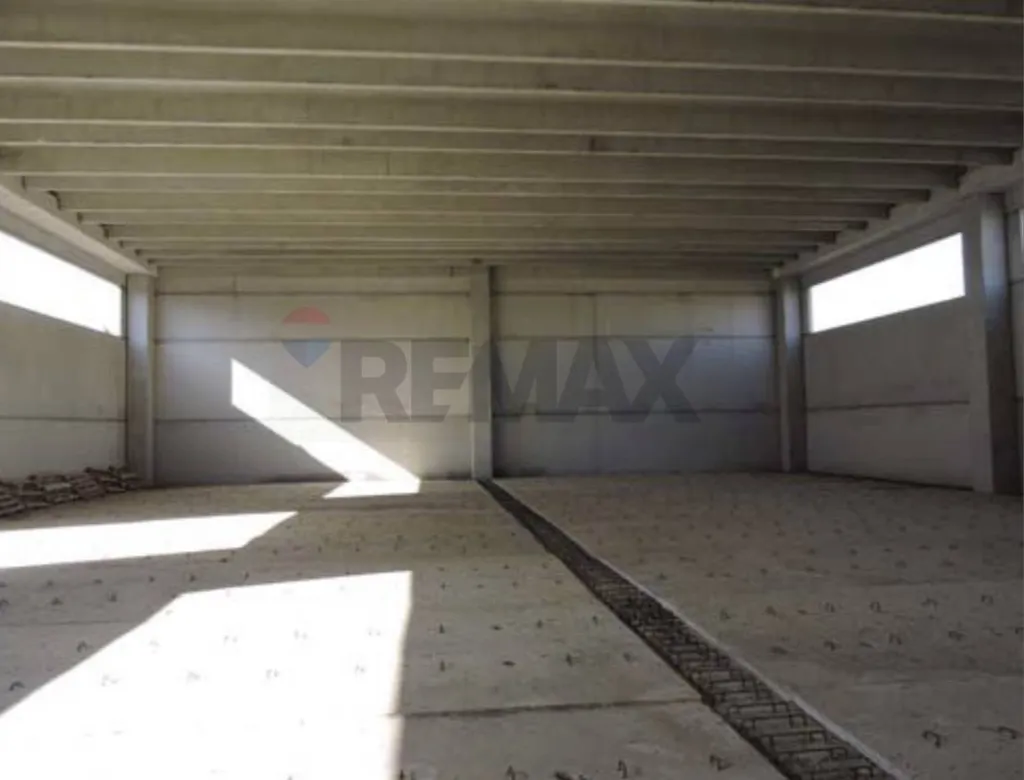 Toad - Industrial Warehouse with Customisation Potential in Mola di Bari