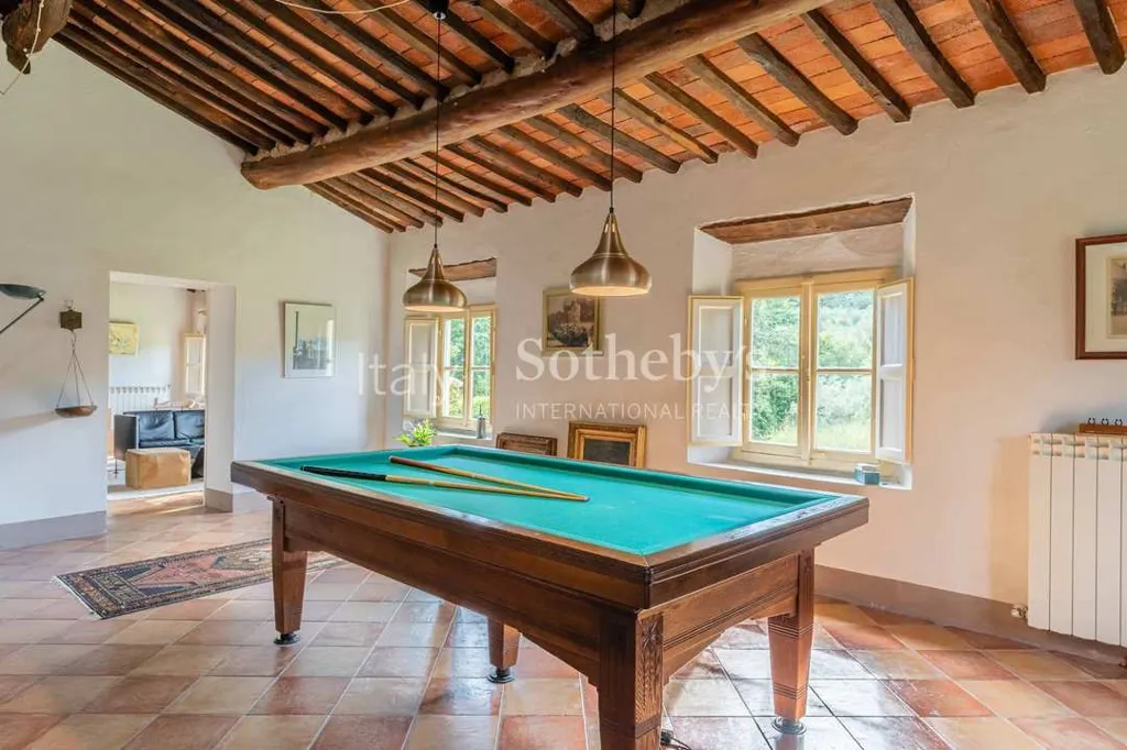 Toad - Historic Villa with Pool near Lucca