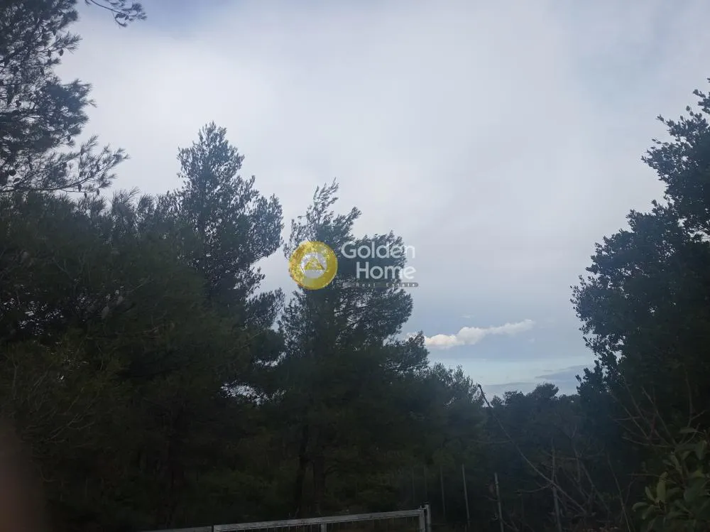 Aed - Plot with Mountain View in Afidnes, Ippokratia