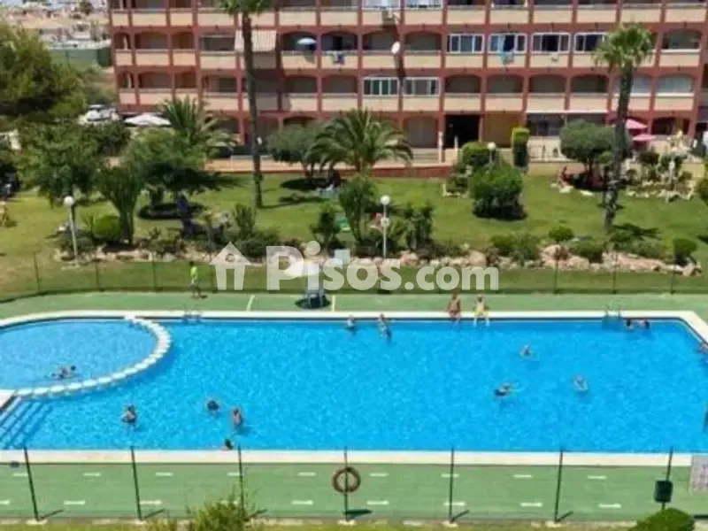 Piscine - 1-Bed Flat with Pool in Ronda
