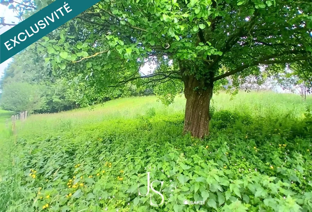 Jardin - Longère Normande avec Jardin à Nointot