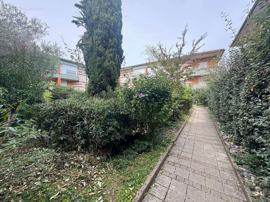 Aed - Charming T2 with Garden in Blagnac