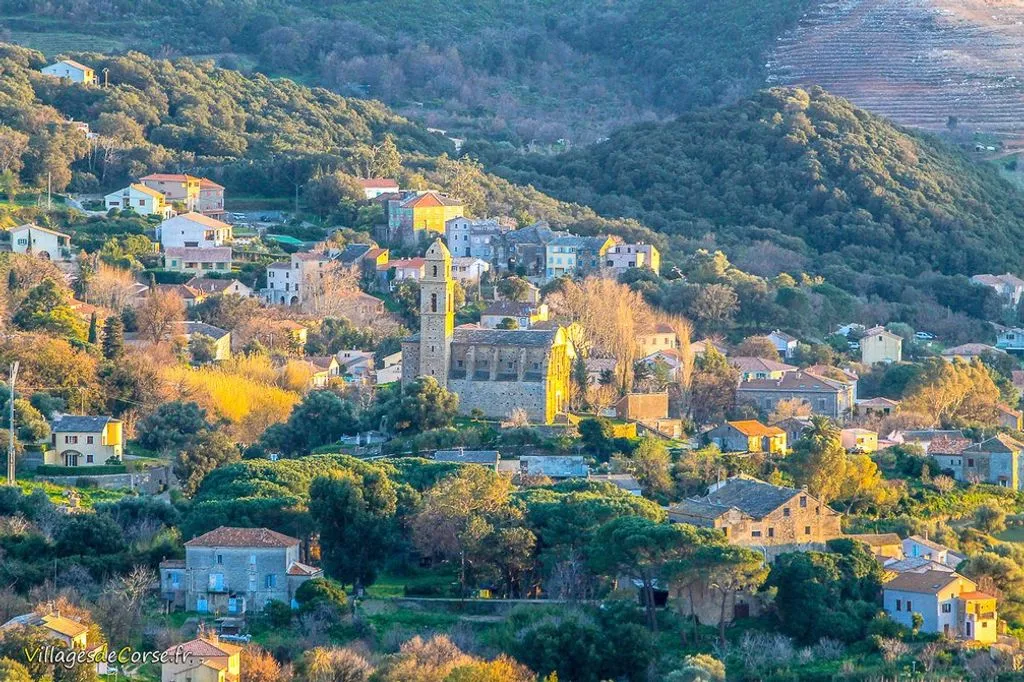Maison de Village avec Jacuzzi à Barbaggio