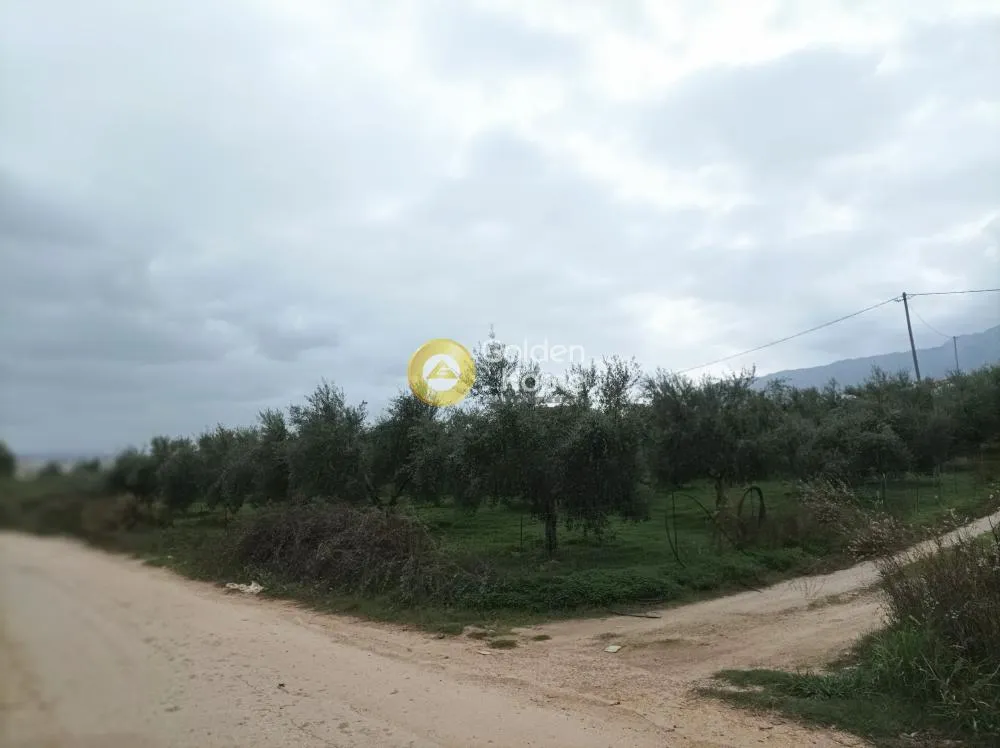 Aed - Buildable Plot with Sea View in Aprovouna, Chania