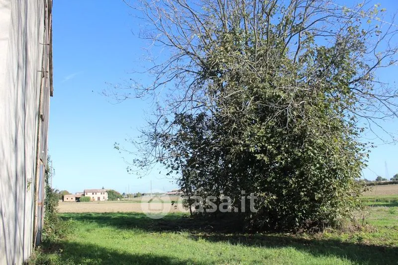 Giardino - Rustic Casale with Private Garden in Stienta