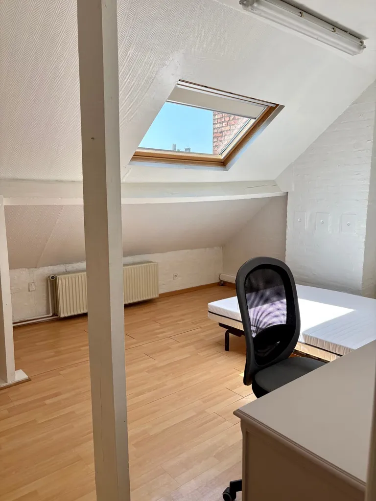 Toad - 8-Bedroom House with Terrace in Anderlecht