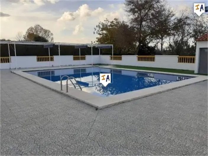 Piscina - Chalet with Pool in Lucena