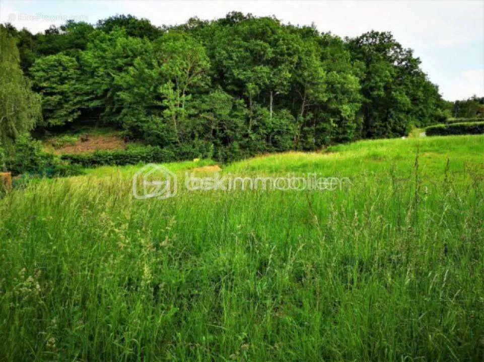 Giardino - Buildable Plot with Forest View near Épernon