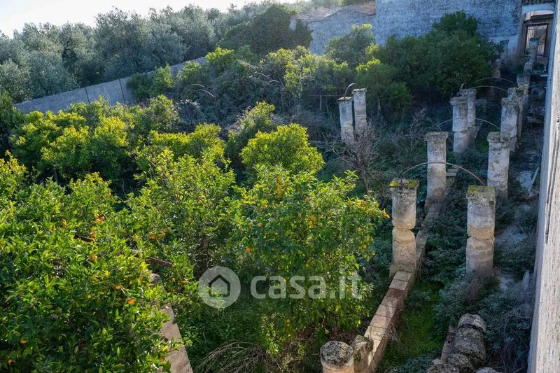 Jardin - Masseria with Olive Grove in Barletta