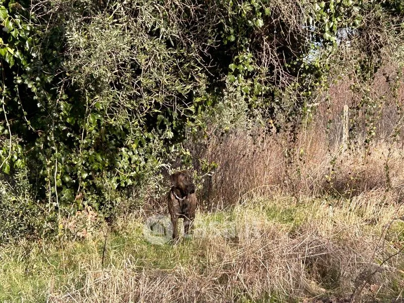 Aed - Rustic Casale with Garden in Recanati