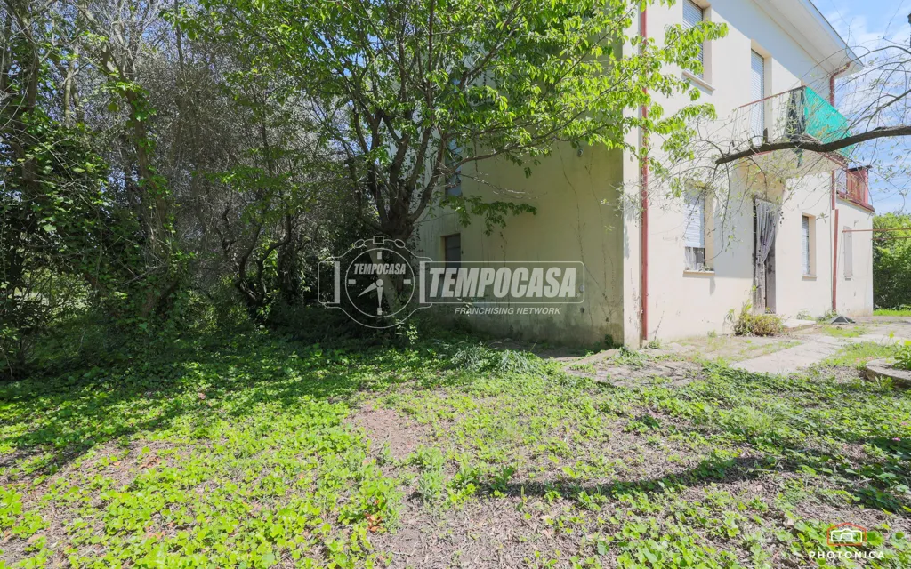 Extérieur - Independent Villa with Large Garden in Rimini