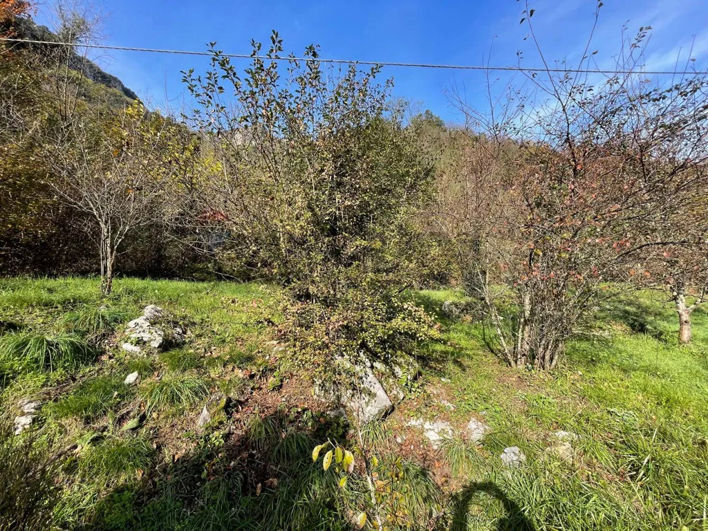 Aed - Rustic Farmhouse with Land in Vergemoli