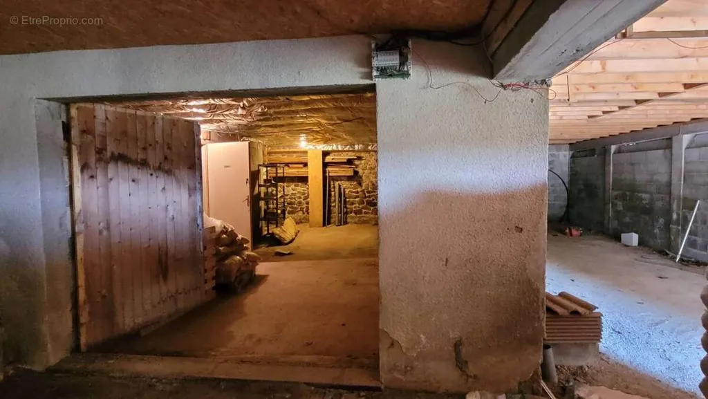 Toad - House with Commercial Space in Saint-Agrève