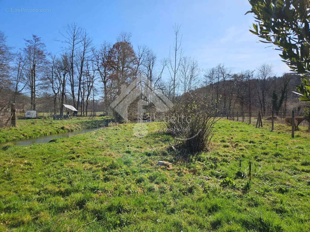 Giardino - Charming Mill House with Water Feature in Saint-Clément