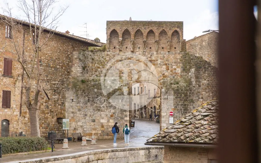 Garten - Luxury Apartment with Terrace in San Gimignano