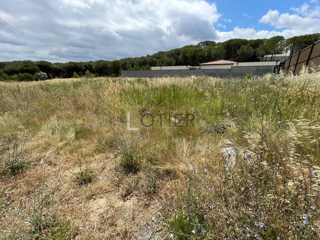 Giardino - Constructible Plot with Private Access in Villedubert