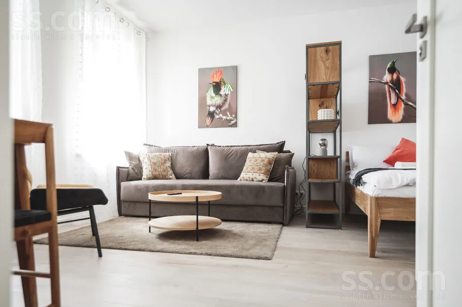 Elutuba - Renovated Apartment with Balcony in Riga Centre