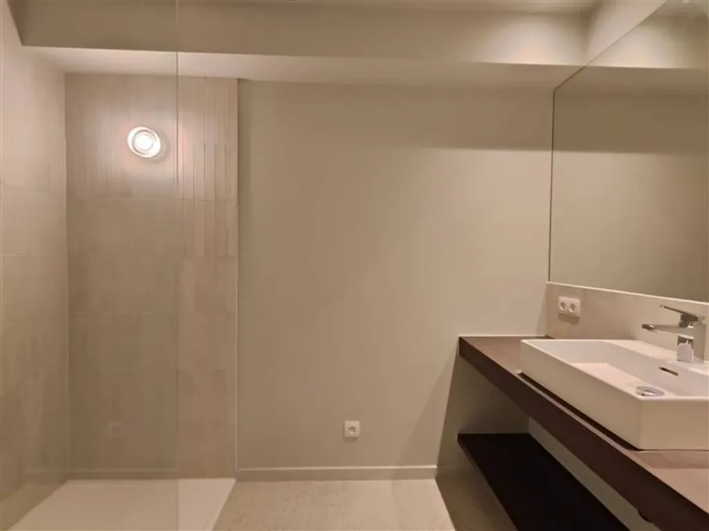 Bagni - Duplex Loft with Terrace in Maaseik Centre