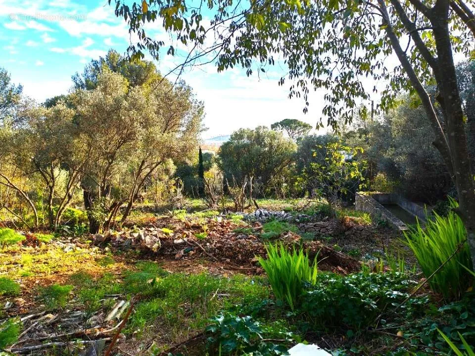 Aed - Buildable Plot with Garden in Toulon