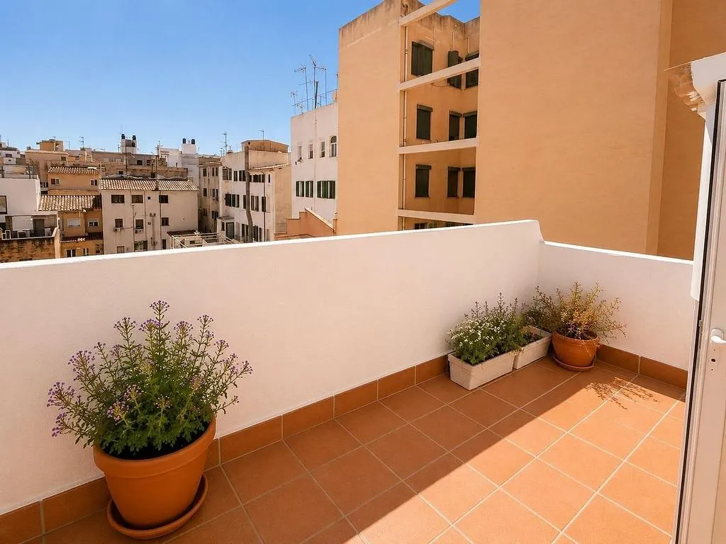 Balcon - Historic Attic with Terrace in Carrer dels Oms