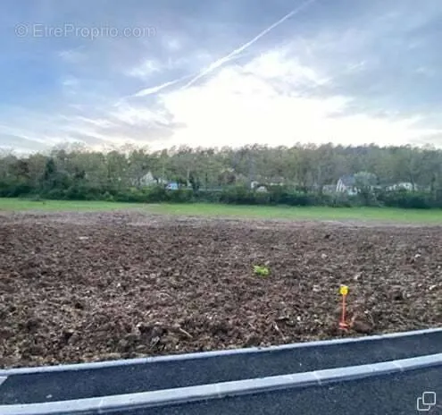 Jardin - Terrain Viabilisé à Nouaillé-Maupertuis