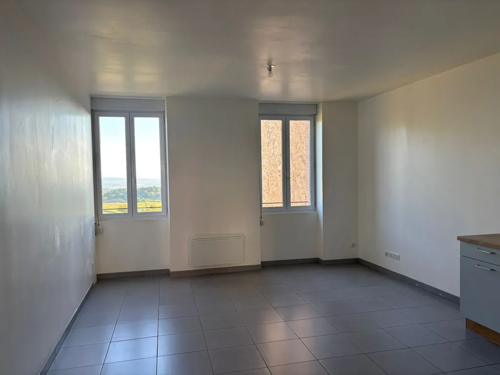 Toad - City Centre Flat with Open Plan Kitchen in Puylaurens