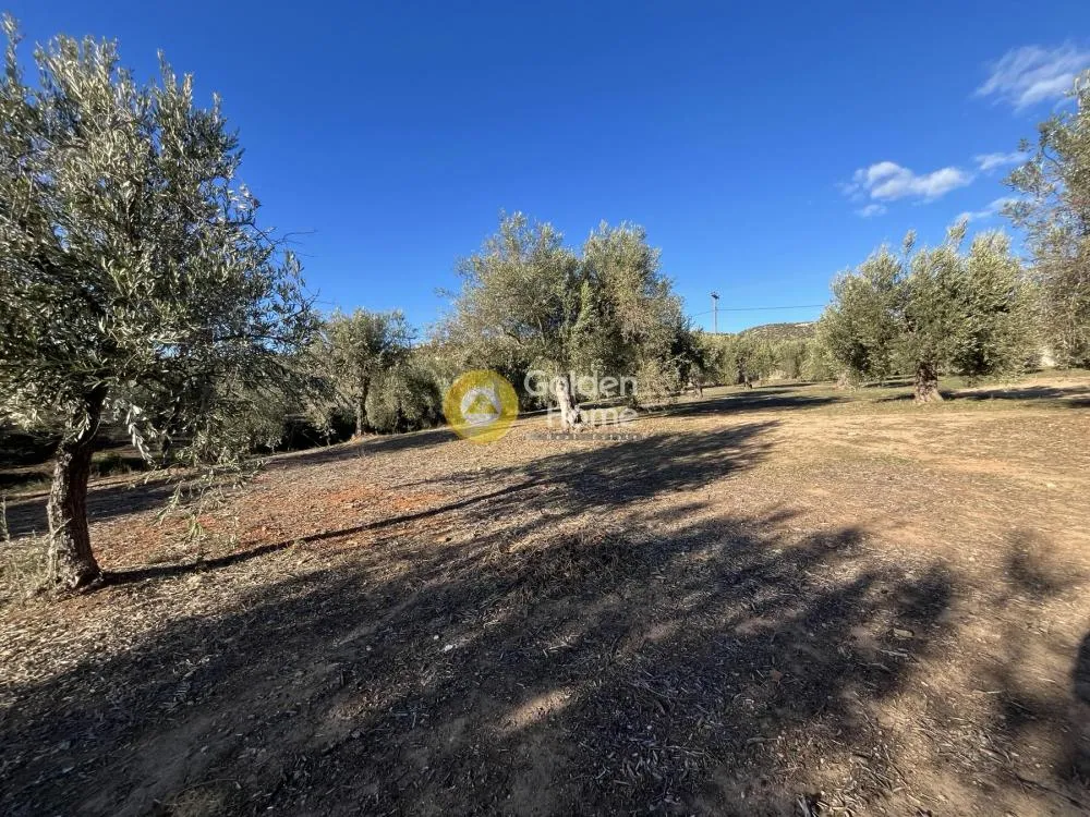Land in GR