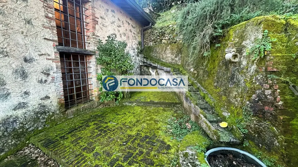 Aed - Historic Mill with Garden in Camaiore