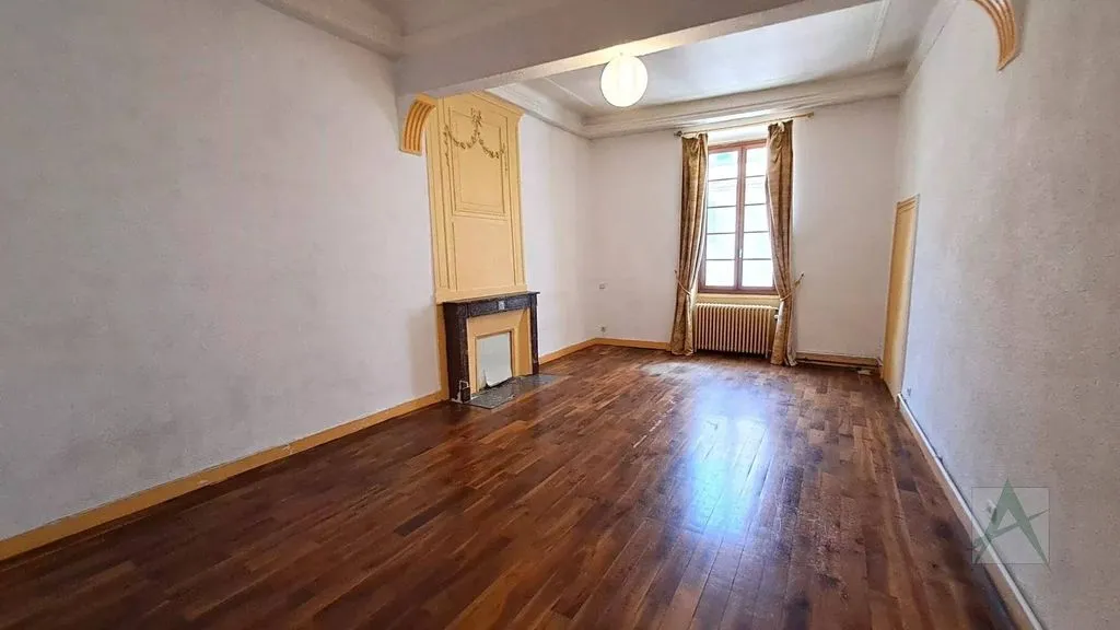 Toad - Luxury Apartment with High Ceilings in Chambéry