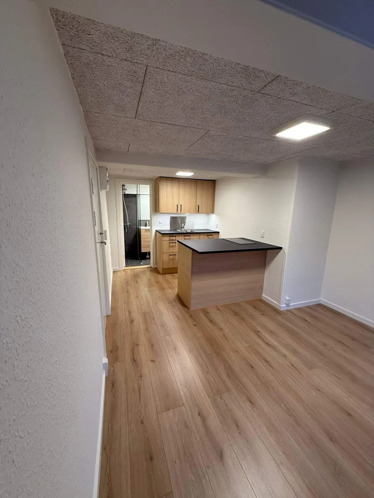 Cuisine - One-Bedroom Flat in Frederikshavn