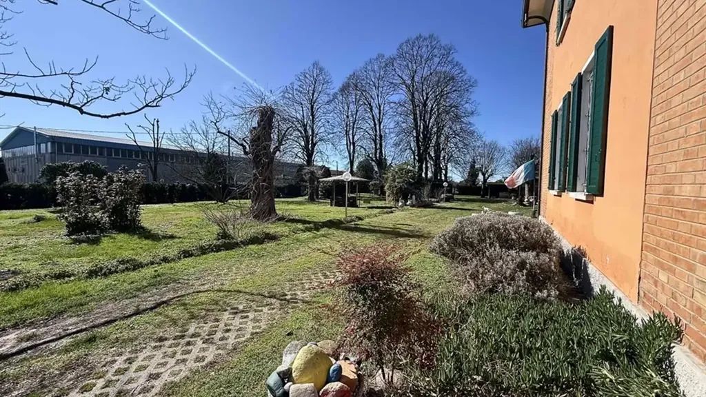garden