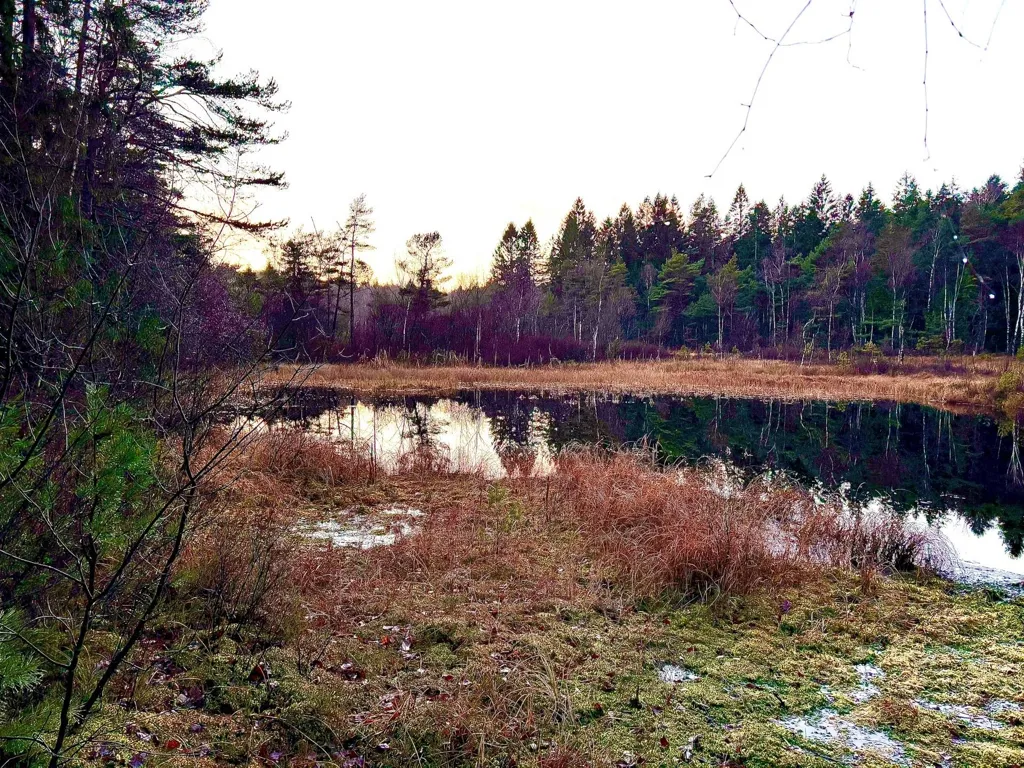 4-toaline maja asukohas Orust kommun