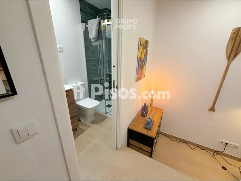 Magamistoad - Reformed Duplex Flat in Chamberí