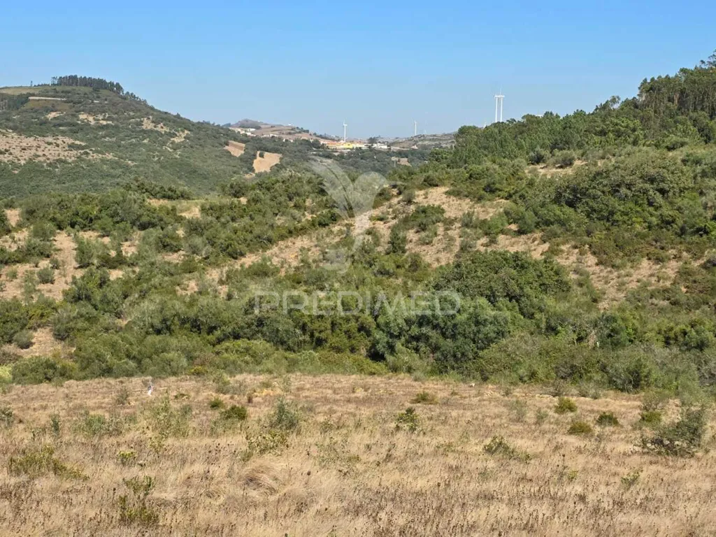 Jardin - Rustic Land with Approved Project in Mafra