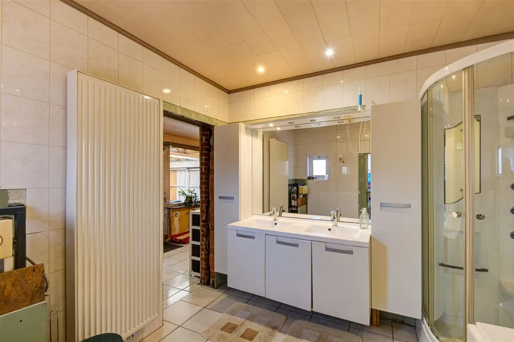Vannitoad - Renovatable House with Garden in Nijlen